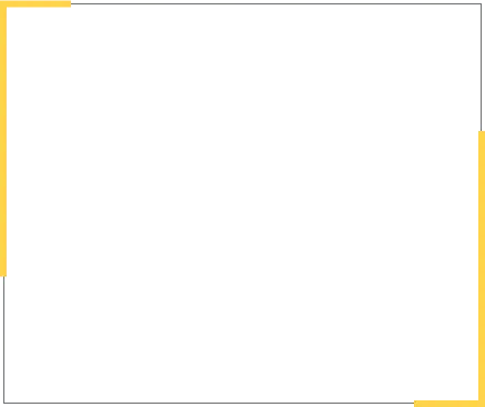 Content Customization Options