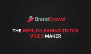 Criador de vídeos do TikTok da BrandCrowd